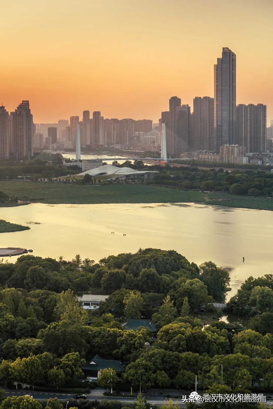 琴台:武汉艺术高地,除看剧听音乐会的隐藏玩法攻略(图30) 餐厅播放的音乐_西餐厅适合播什么音乐剧_适合餐厅播放的纯音乐