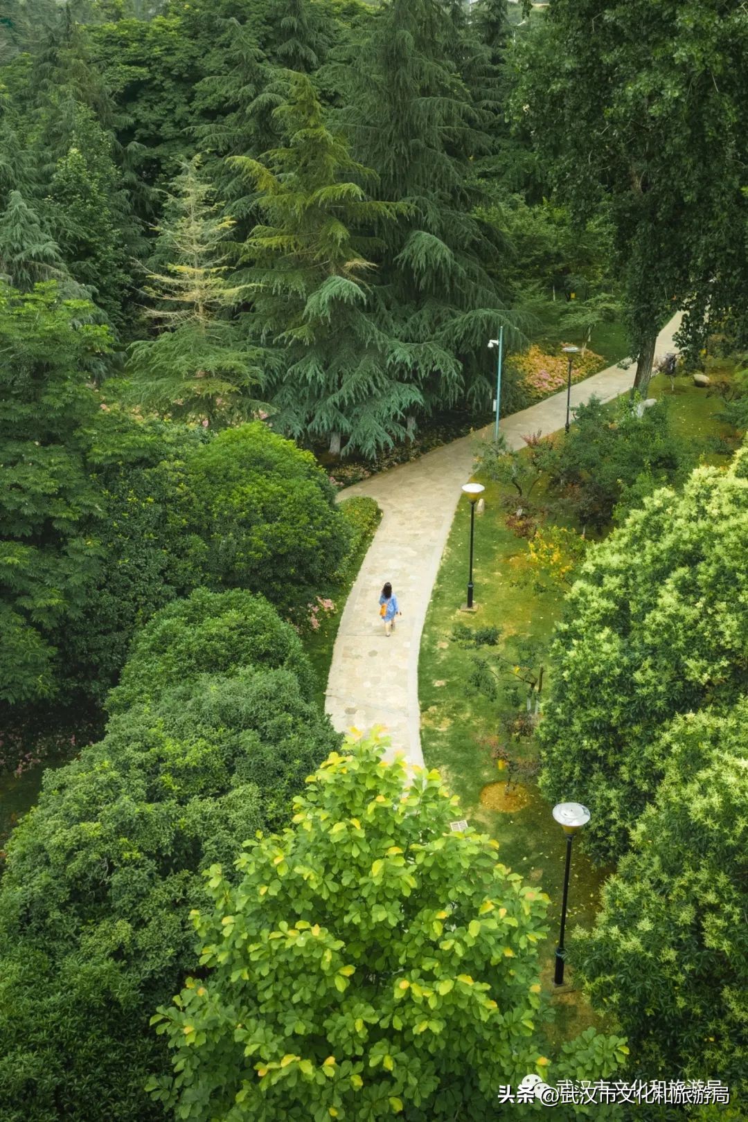 琴台:武汉艺术高地,除看剧听音乐会的隐藏玩法攻略(图31) 餐厅播放的音乐_西餐厅适合播什么音乐剧_适合餐厅播放的纯音乐